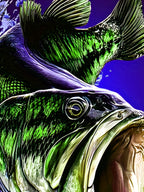 Ihembe Labesilisa Lokudala Lemfashini Yasehlobo Le-3D Eliphrintiwe Ngedijithali