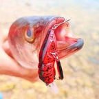 1pc ANFS Jointed Craw Lure - Realistic Artificial Fishing Bait with Multiple Hooks, Vibrant Red & Black Design, Durable ABS Material for Bass, Walleye, Crappie - Ideal for Christmas, Valentine'S Day, Father'S Day Gifts, Bass - The Superior Findings Depot